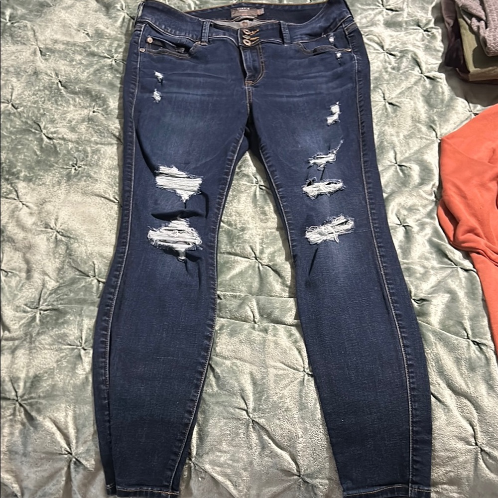 Torrid Distressed Blue Jeans
